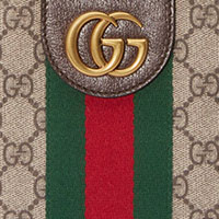 GUCCI�i�O�b�`�j�̊��𔃂�����