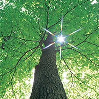 ���o225�m�[���[�h�I�[�v���̔�����